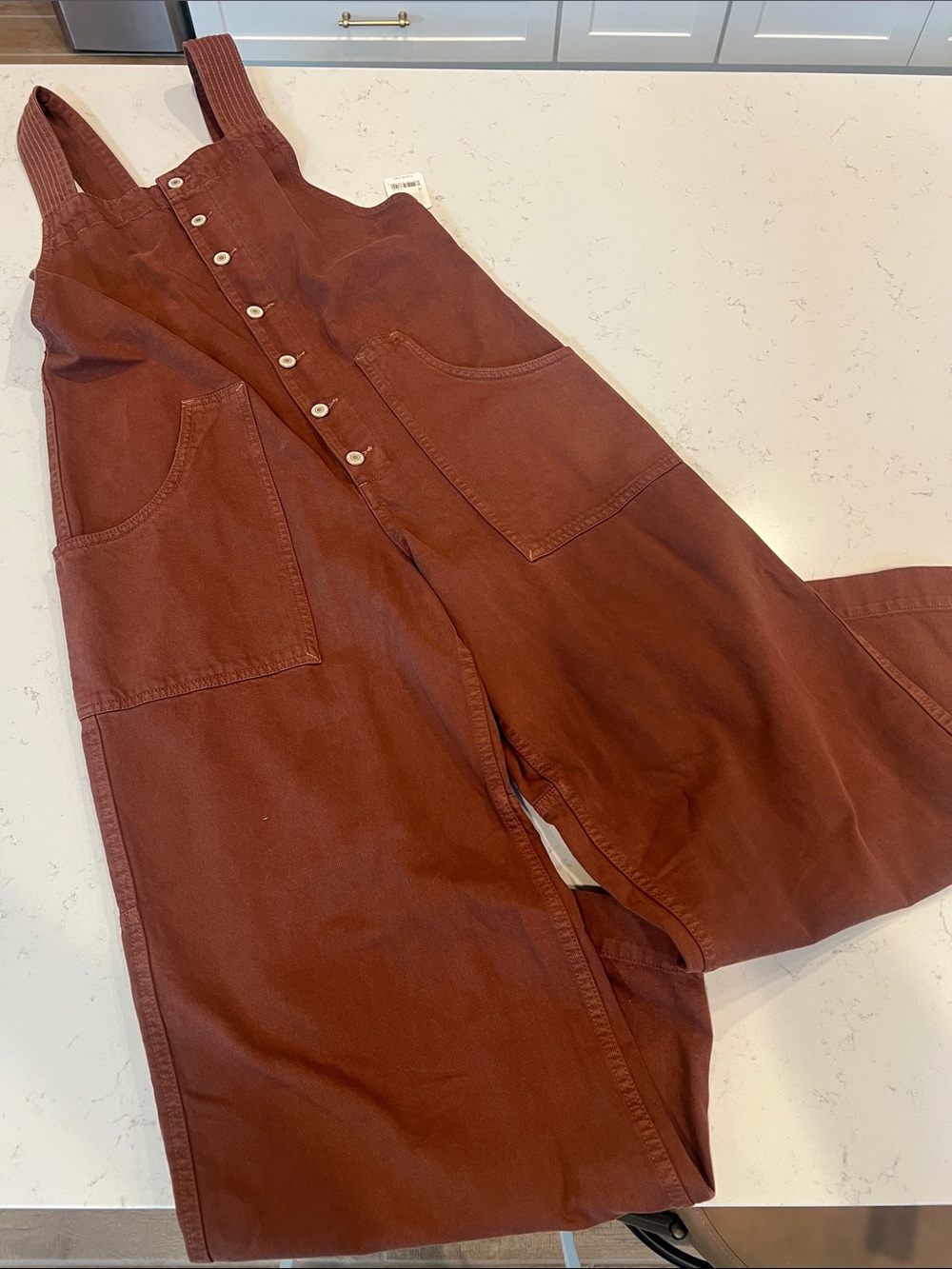 Free People Rust Overalls with Button Front